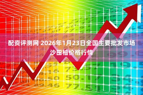 配资评测网 2026年1月23日全国主要批发市场沙田柚价格行情